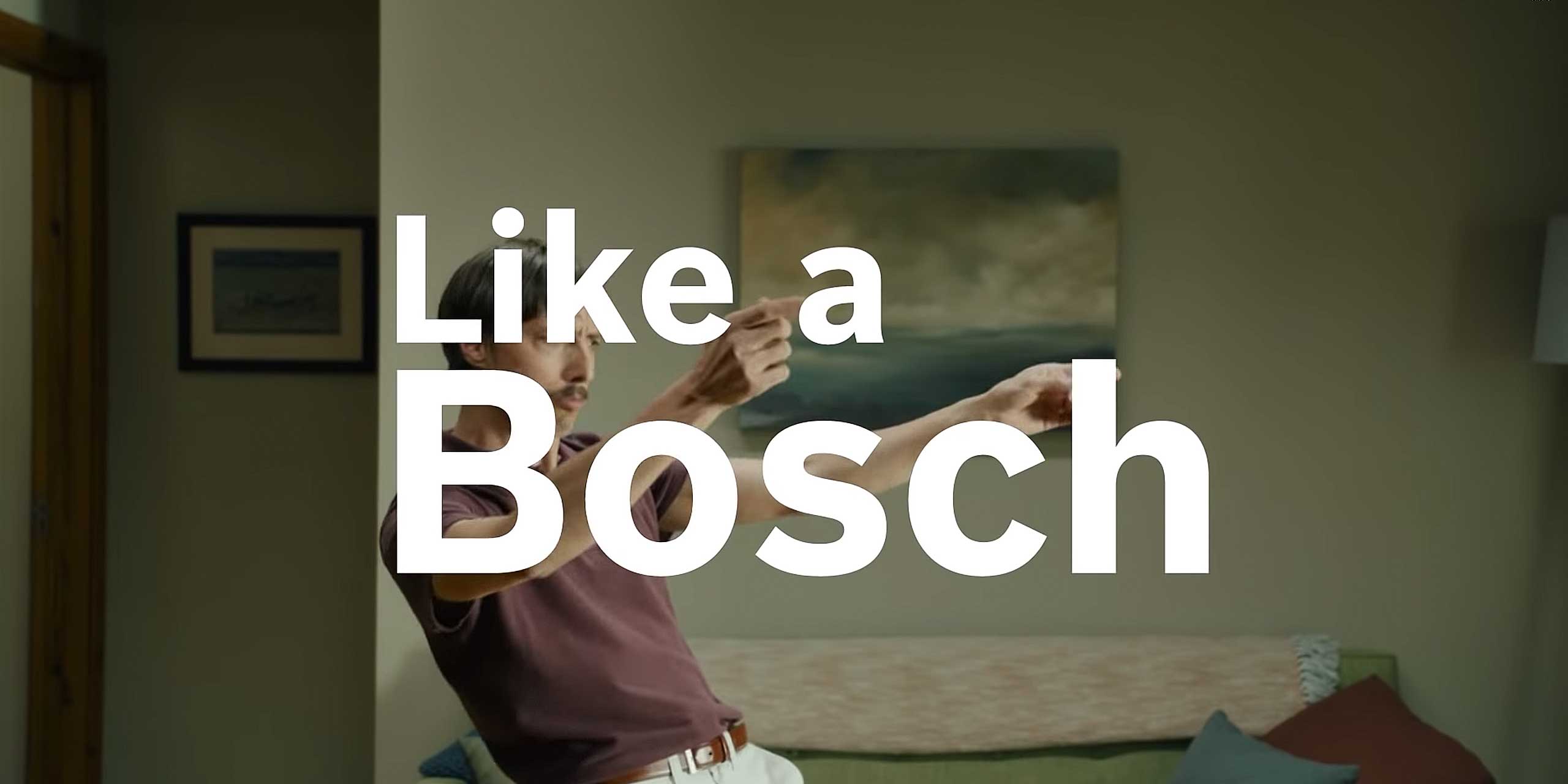 Logo "Like A Bosch" zentriert auf einem Foto mit Like A Bosch Shawn
