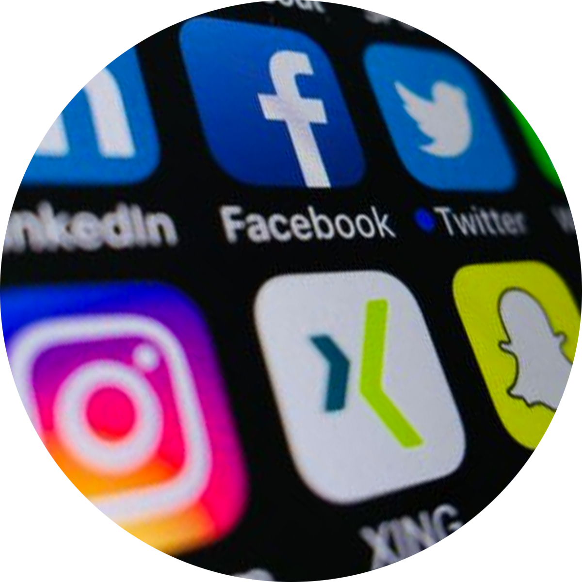Ausschnitt von den Social Media Platformen LinkedIn, Facebook, Twitter, Instagram, XING und Snapchat